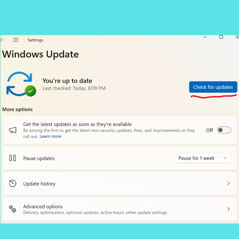 windows 11