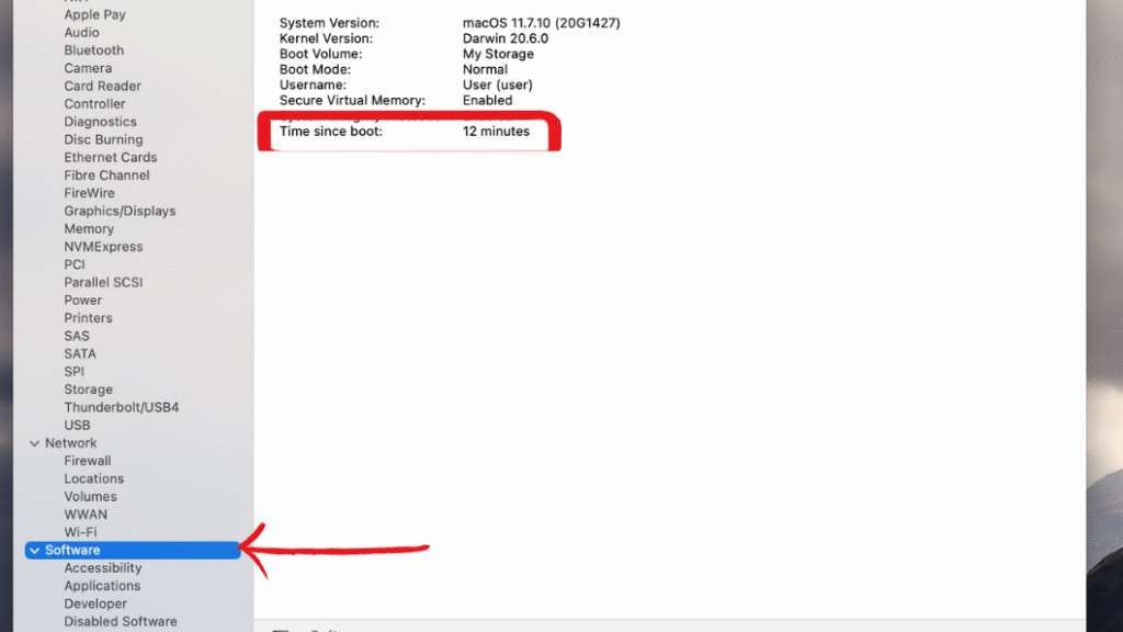 System Uptime